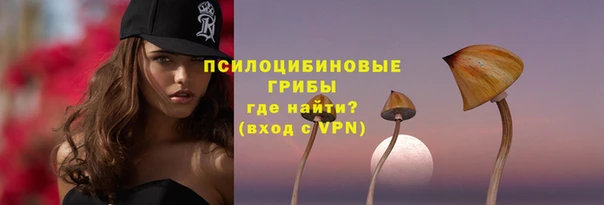 стаф Навашино