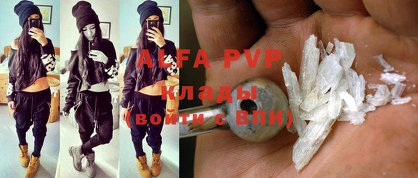 амф Богданович