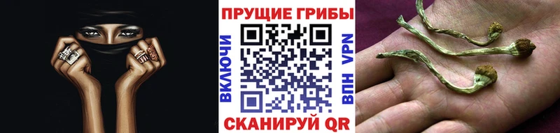 Псилоцибиновые грибы Magic Shrooms  что такое наркотик  Гусиноозёрск 